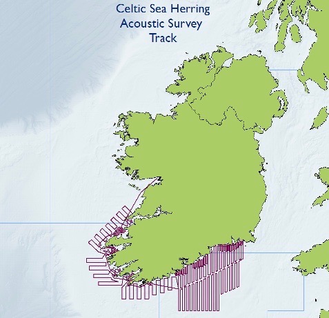 Sample Celtic Herring Acoustic Survey track