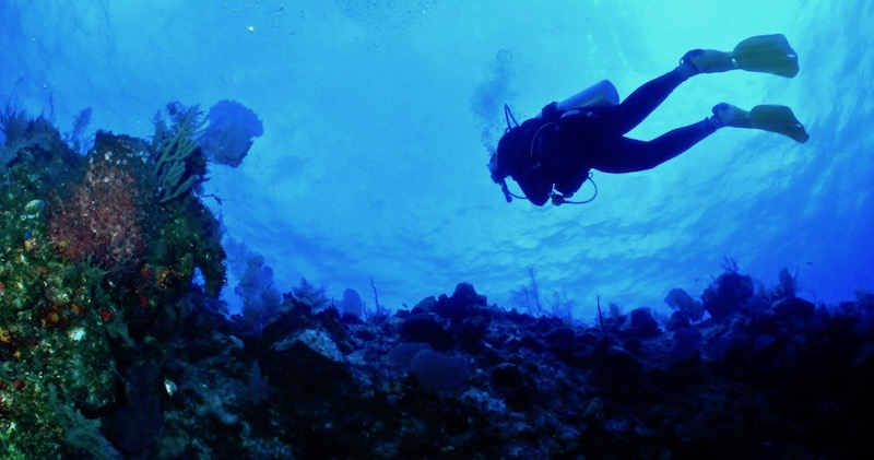 Me off the edge of the reef wall off the coast of South Caicos