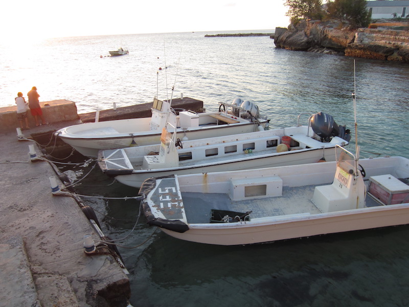 three of our little fleet at sunset